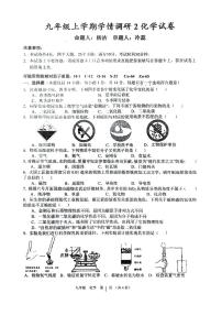河南省实验中学2024-2025学年九年级上学期12月月考化学试题