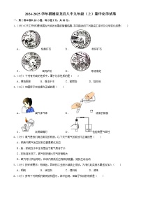 福建省龙岩市第八中学2024-2025学年九年级上学期期中考试化学试卷-A4