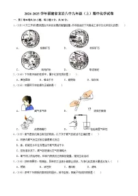 福建省龙岩市第八中学2024-2025学年九年级上学期期中考试化学试卷-A4