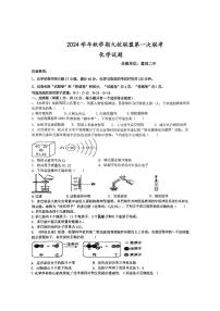 安徽省六安市金安区九校联盟2024-2025学年九年级上学期12月月考化学试题