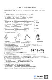 河南省新乡市新乡县河南师范大学附属外国语学校2024-2025学年九年级上学期12月月考化学试题