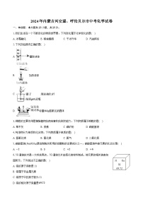 2024年内蒙古兴安盟、呼伦贝尔市中考化学试卷（含详细答案解析）