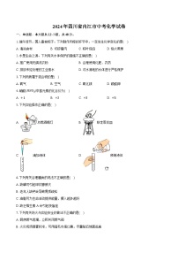 2024年四川省内江市中考化学试卷（含详细答案解析）
