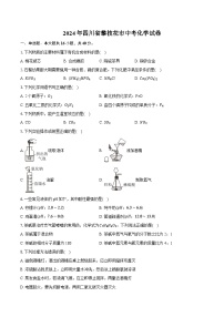 2024年四川省攀枝花市中考化学试卷（含详细答案解析）