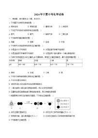 2024年宁夏中考化学试卷（含详细答案解析）