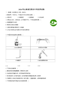 2024年山东省日照市中考化学试卷（含详细答案解析）