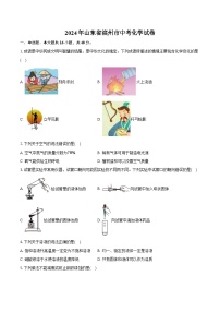 2024年山东省滨州市中考化学试卷（含详细答案解析）