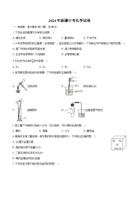 2024年新疆中考化学试卷（含详细答案解析）