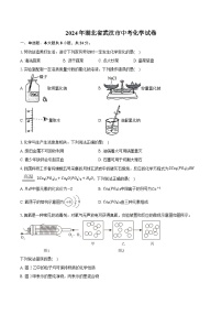 2024年湖北省武汉市中考化学试卷（含详细答案解析）