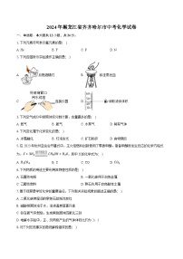 2024年黑龙江省齐齐哈尔市中考化学试卷（含详细答案解析）