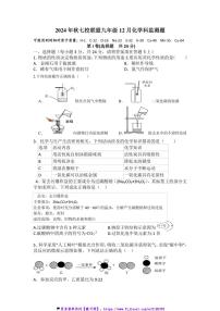 2024～2025学年湖北省武汉市黄陂区七校联盟九年级(上)12月月考化学试卷(含答案)