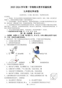 广东省惠州市惠东县2023-2024学年九年级上学期期末考试化学试题
