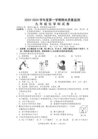 广东省汕头市澄海区2023-2024学年度第一学期九年级期末教学质量监测化学试卷