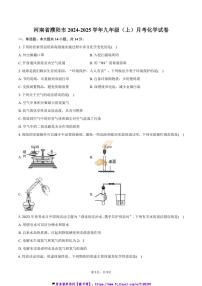 2024～2025学年河南省濮阳市九年级(上)月考化学试卷(含答案)