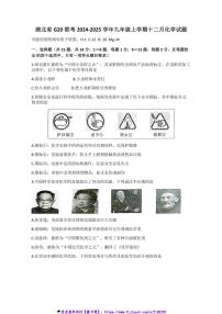 2024～2025学年湖北省G20联考(月考)九年级(上)十二月化学试卷(含答案)
