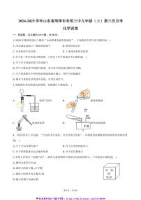 2024～2025学年山东省菏泽市东明三中九年级(上)第三次月考化学试卷(含答案)