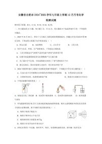 安徽省合肥市2024~2025学年九年级上学期12月月考化学检测试题（含答案）