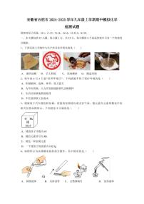 安徽省合肥市2024-2025学年九年级上学期期中模拟化学检测试题（含答案）