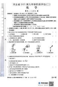 河北省廊坊市2024-2025学年九年级上学期11月月考化学试题