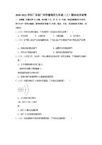 2020-2021学年广东省广州市番禺区九年级（上）期末化学试卷（含答案）