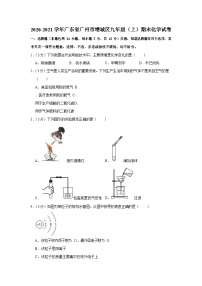 2020-2021学年广东省广州市增城区九年级（上）期末化学试卷（含答案）