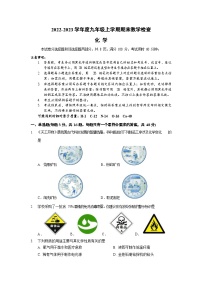 2022-2023学年广东省广州市华师附中九年级（上）期末化学试卷