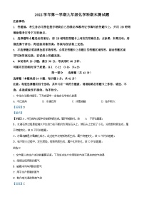广东省广州市番禺区2022-2023学年九年级上学期期末化学试题（答案）