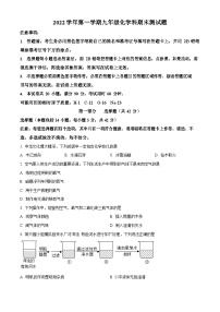 广东省广州市番禺区2022-2023学年九年级上学期期末化学试题