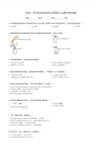 2024～2025学年湖北武汉江汉区初三(上)期中化学试卷(含解析)