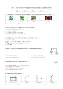 2024～2025学年广东广州越秀区广州市执信中学初三(上)期中化学试卷(含解析)