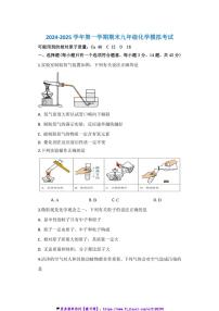 2024～2025学年海南省海口市学校九年级(上)期末化学模拟试卷(含答案)