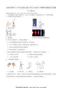 2024_2025学年安徽省合肥市第四十八中学九年级(上)期末模拟化学试卷(含答案)