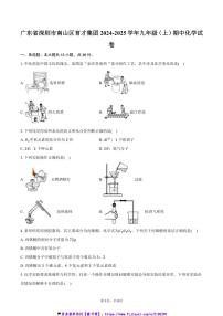 2024～2025学年广东省深圳市南山区育才集团九年级(上)期中化学试卷(含答案)