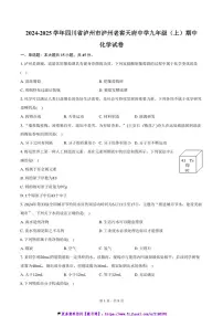 2024～2025学年四川省泸州市江阳区泸州老窖天府中学九年级(上)期中化学试卷(含答案)