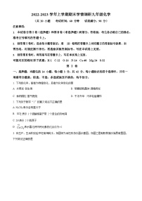 广东省广州市华师附中2022-2023学年九年级上学期期末化学试题