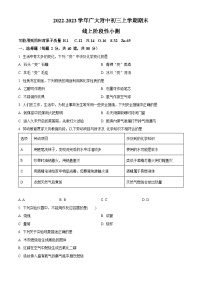 广东省广州市越秀区广大附中2022-2023学年九年级上学期期末化学试题（含答案）