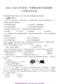 2024～2025学年河北省邯郸市临漳县九年级(上)12月期末化学试卷(含答案)