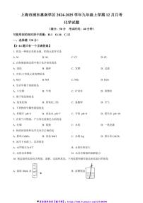 2024～2025学年上海市浦东惠南学区九年级(上)12月月考化学试卷(含答案)