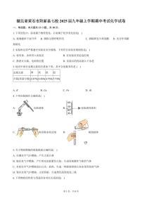 湖北省黄石市阳新县七校2025届九年级上学期期中考试化学试卷（含答案）