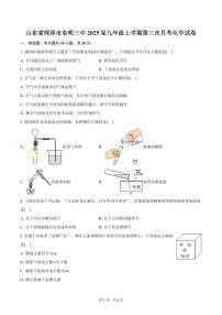 山东省菏泽市东明三中2025届九年级上学期第三次月考化学试卷（含答案）