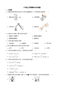 黑龙江省大庆市杜尔伯特蒙古族自治县2024年八年级上学期期末化学试题【附答案】