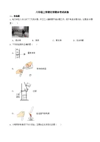 黑龙江省哈尔滨市道外区2024年八年级上学期化学期末考试试卷【附答案】