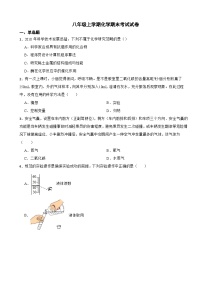 山东省东营市广饶县2024年八年级上学期化学期末考试试卷【附答案】