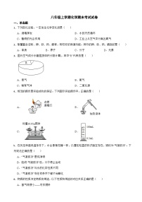 山东省济宁市任城区2024年八年级上学期化学期末考试试卷【附答案】