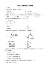 山东省济宁市任城区2024年八年级上学期化学期末考试试卷【附答案】