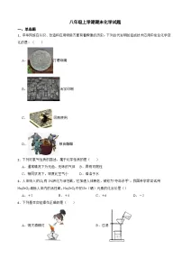 山东省泰安市2024年八年级上学期期末化学考试试题【附答案】