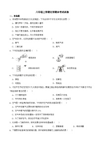 山东省潍坊市2024年八年级上学期化学期末考试试卷【附答案】