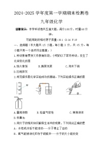 湖南省岳阳市2024-2025学年九年级上学期期末检测化学试卷