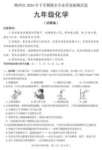 湖南省郴州市2024--2025学年九年级上学期期末学业质量抽测化学试卷
