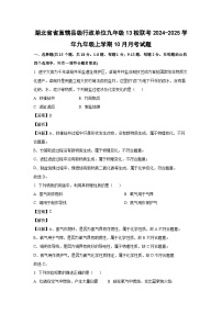 湖北省省直辖县级行政单位九年级13校联考2024-2025学年九年级（上）10月月考化学试卷（解析版）